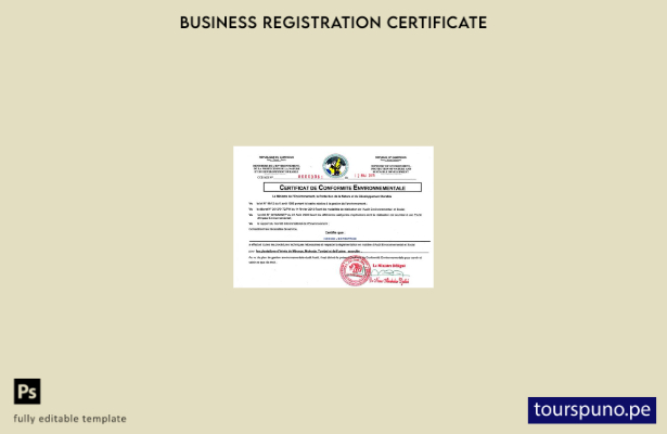 Plantilla de certificado de registro de Camerún lista para imprimir